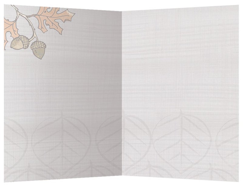 Tree-Free Greetings مجموعة بطاقات ملاحظات صديقة للبيئة بدون شجر 12 قطعة مع أظرف، 4x6 بوصات، طيور البوم الرائعة II من فن بول برينت (66516) - Image 2